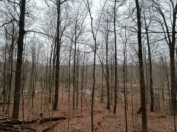 L212 Kelly Hill Rd, Pine City, NY 14871