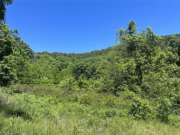 3rd image of Terrapin Rd