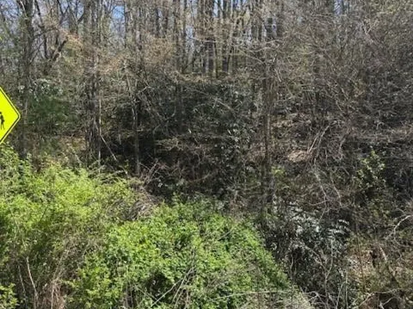 0 E Fork Rd, Sylva, NC 28779