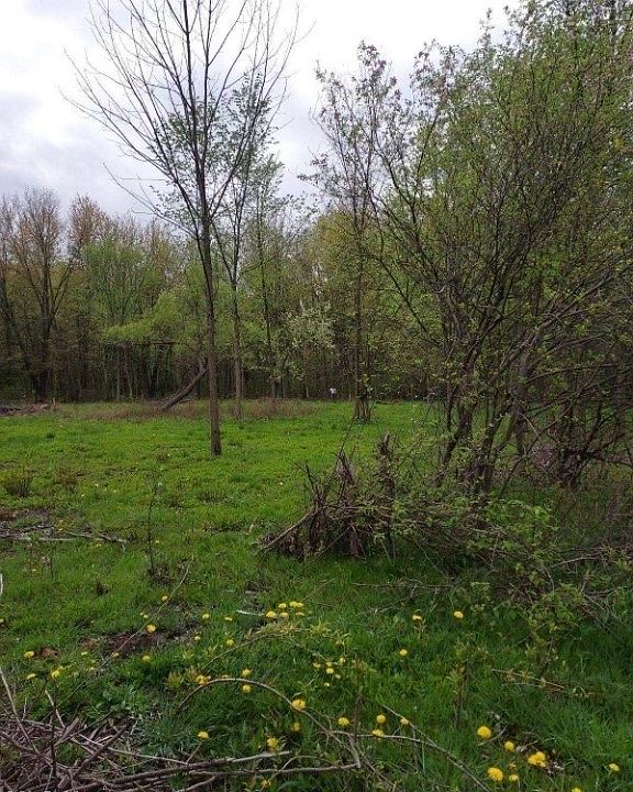 2nd image of Bronson Rd