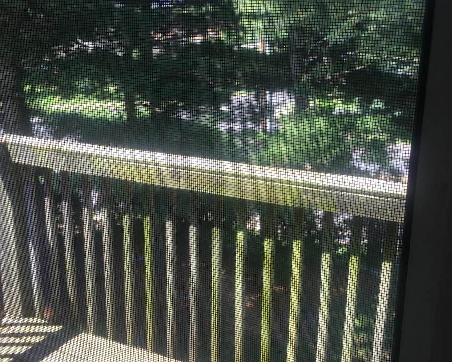 balcony & shared yard