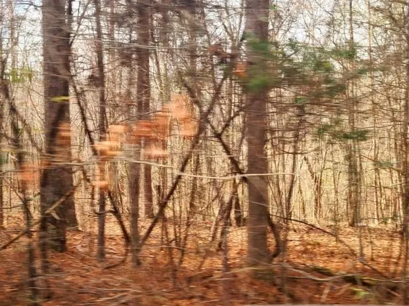 890 Forrester Cemetery Rd Tract 3, Covington, GA 30014