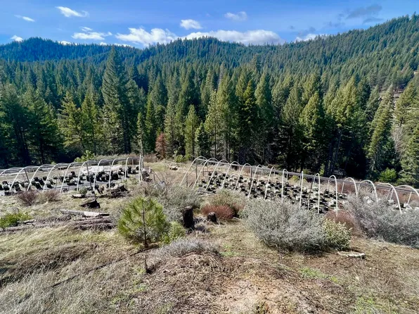 241 Cannonball Rd, Platina, CA 96076