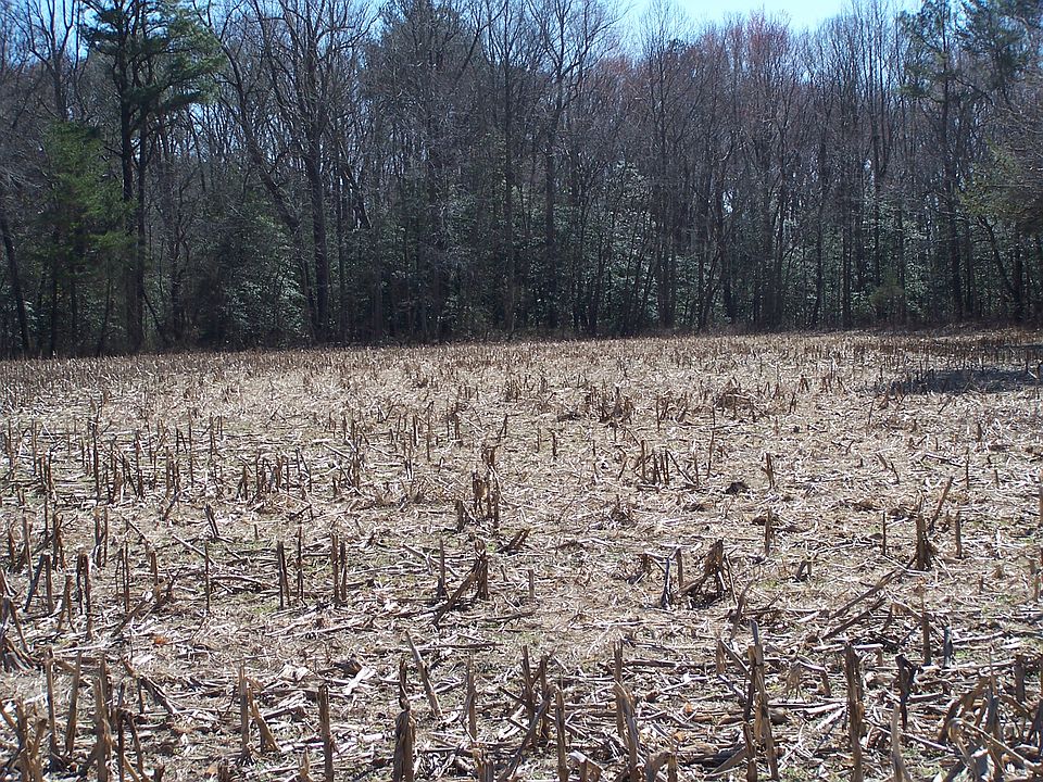 2nd image of Lot R Waldwick Way