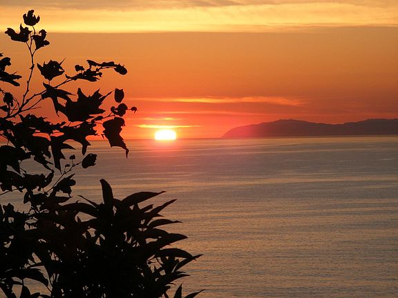 View from 821 Gainsborough Drive