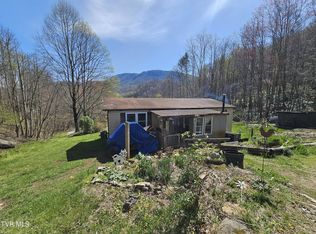 149 Doty Rd, Roan Mountain, TN 37687
