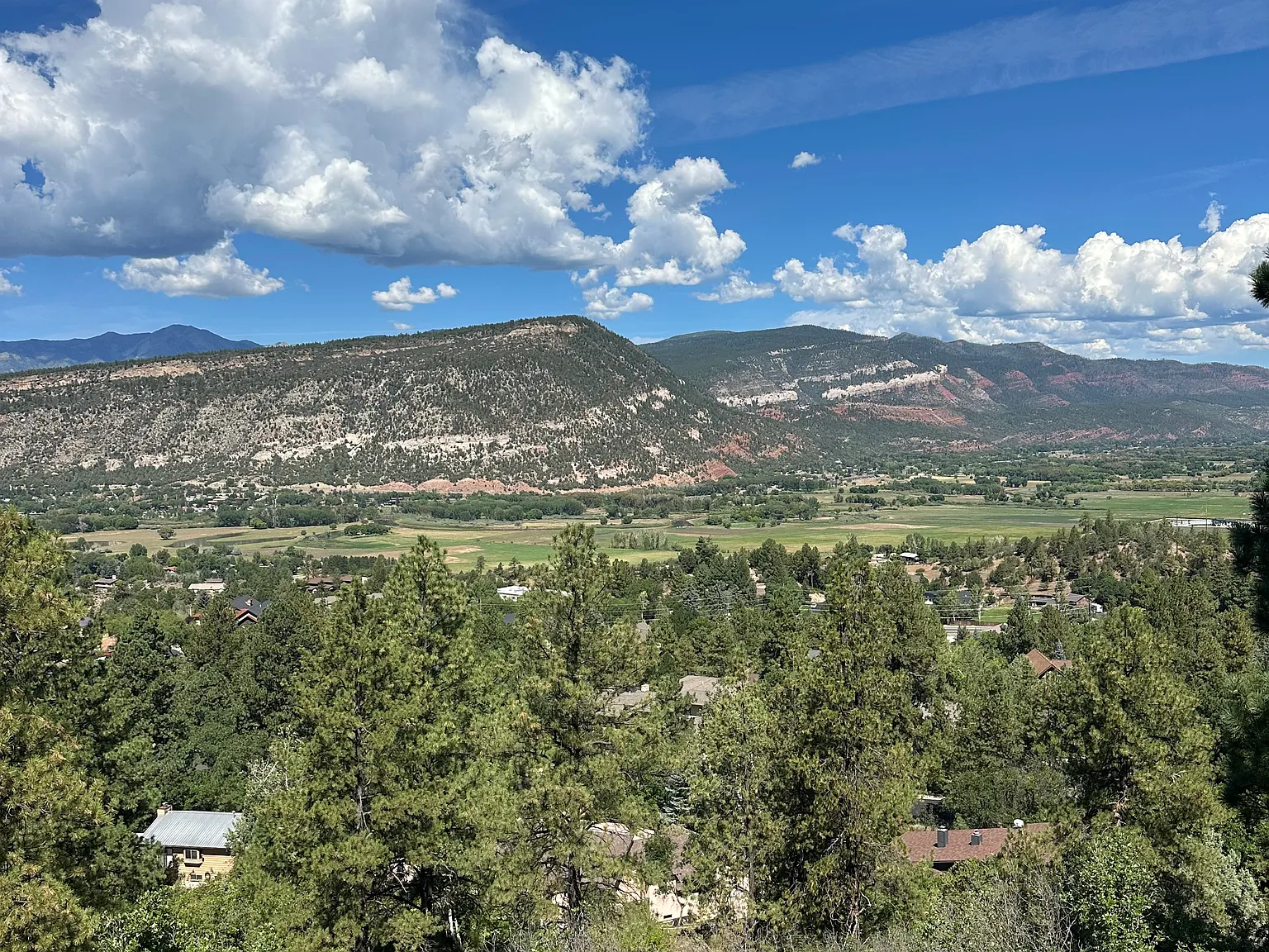 5 bed, 4700 sqft, $6,500 — Photo 3