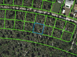 2212 Carla Ave, Sebring, FL 33875