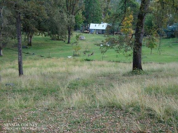 5th image of 18150 Wildflower Dr