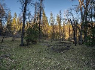 27181 Forrest Oak Rd, Pioneer, CA 95666