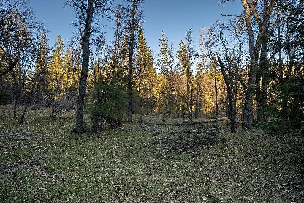 27181 Forrest Oak Rd photo 1