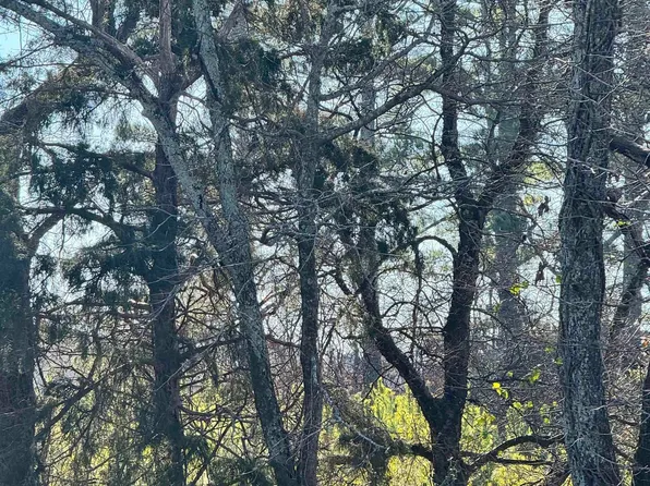 County Road 235, Madison, AL 35757