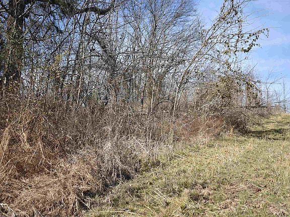 5th image of 1 David Brown Rd