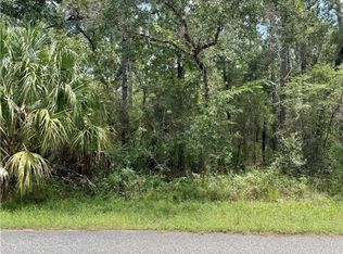 3 Livingstone Daisy Ct, Homosassa, FL 34446