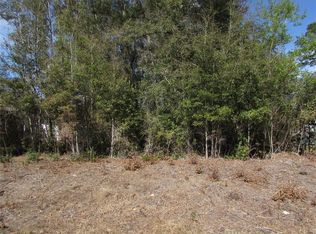 LOT 32 SW Robin Dr LOT 32, Dunnellon, FL 34431