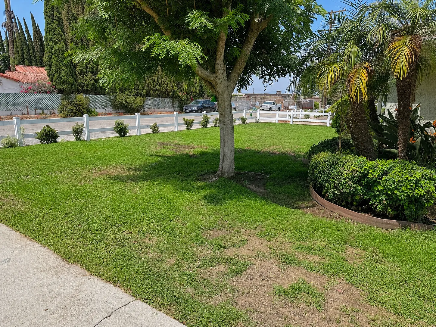 3 bed, 2294 sqft, $3,600 — Photo 4