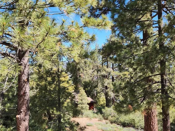 1708 Freeman Dr #237, Pine Mountain Club, CA 93222