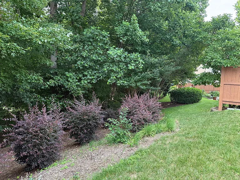 3915 Sunset Maple Ct — Photo 37