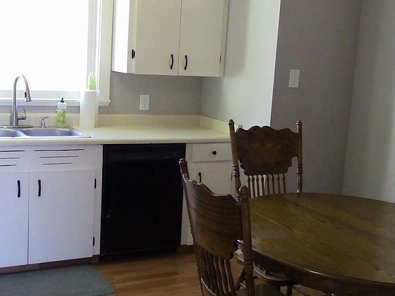 Dishwasher, double stainless steel sinks,