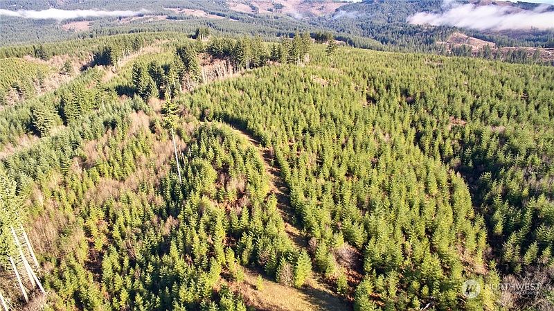 3rd image of 3 NE Jones Creek Road