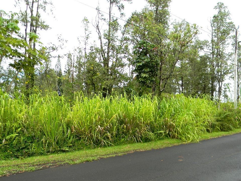 1st image of Ohia Dr Lot 29