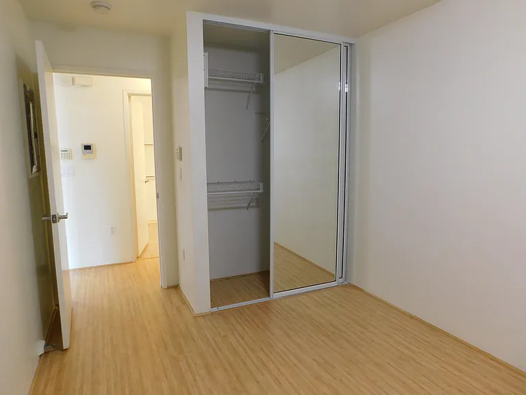 Mirrored closet doors