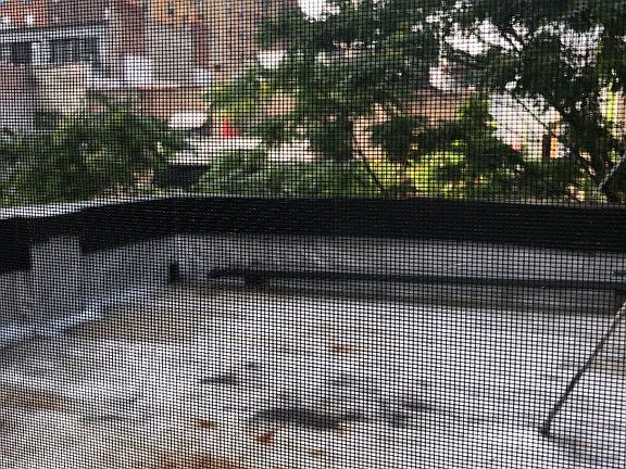 5th image of 318 W 106th St APT 5RW