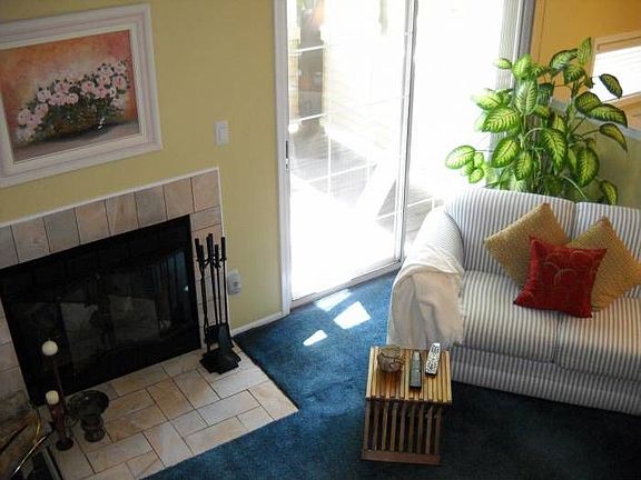 Woodburning Fireplace