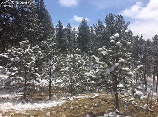 1878 Spring Creek Dr, Divide, CO 80814