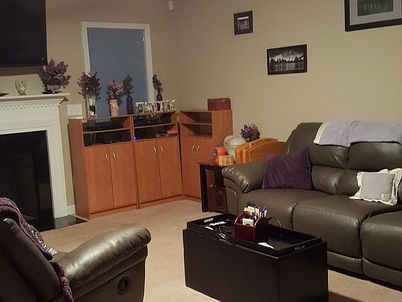 Living room wired for sound