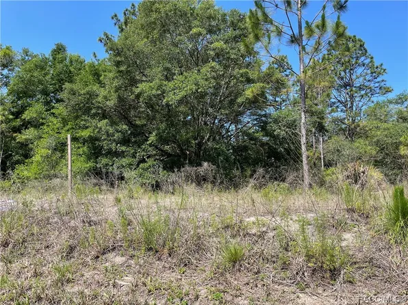 8676 N Citrus Ave, Crystal River, FL 34428