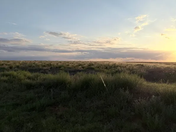 0 N Us Hwy #385, Levelland, TX 79336