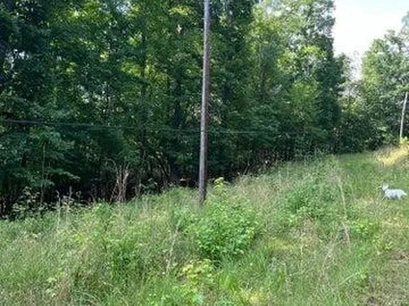 0 Willow Dr, Spring City, TN 37381