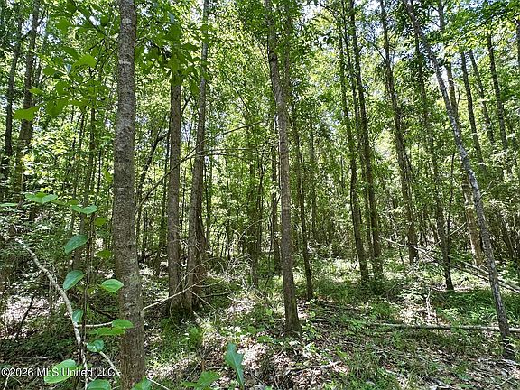 4th image of 2 McNair Springs Rd