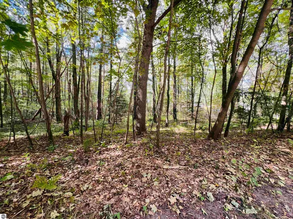 0 North Blvd, Cadillac, MI 49601