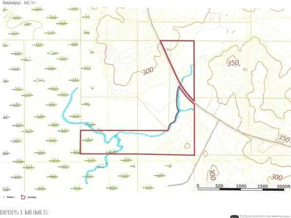 County Road 31, Heidelberg, MS 39439