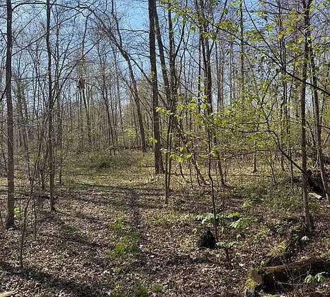 5th image of 27 Mile Rd