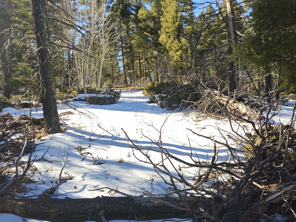 2nd image of 357 Vail Loop