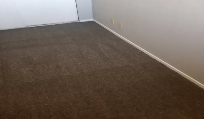 7798 Chancery Ct — Photo 14