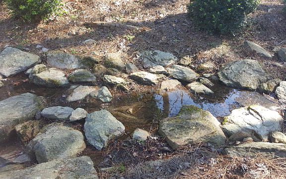 3rd image of 1435 Brookgreen Dr