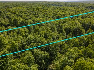 Mount Frederick Rd, Gaylord, MI 49735