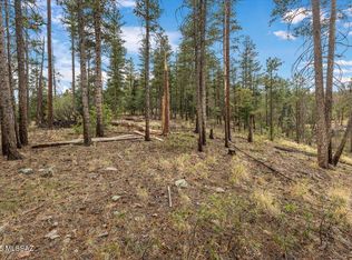 14 County Road 2074 #29, Alpine, AZ 85920