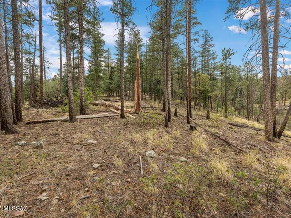 14 County Road 2074 #29, Alpine, AZ 85920