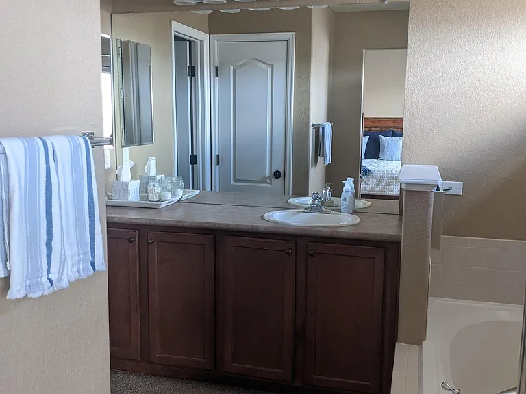 Primary Suite Bath