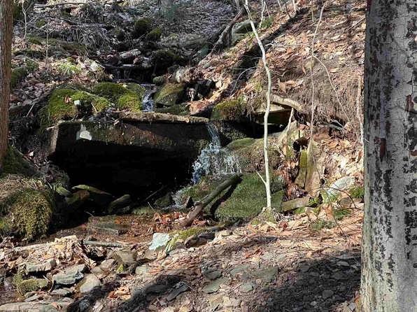 27 Black Bear Trl, Davis, WV 26260