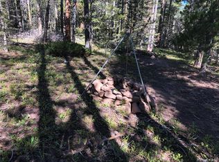 3442 Drexler LOT 3442, Fort Garland, CO 81133
