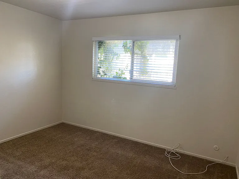 815 Chestnut Ln — Photo 11