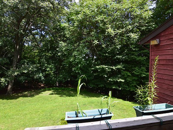 Tree lined yard for privacy