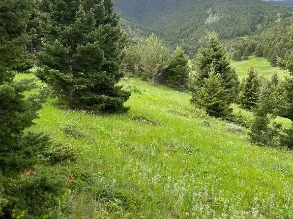 Rocky Top Pass, Livingston, MT 59047