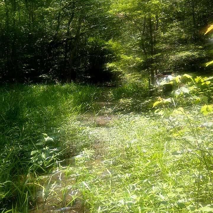 1st image of LOT Perry Babin Ln